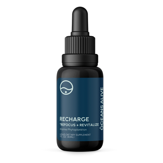 Oceans Alive® Recharge 30 ml (Case/12 units) 🇨🇦